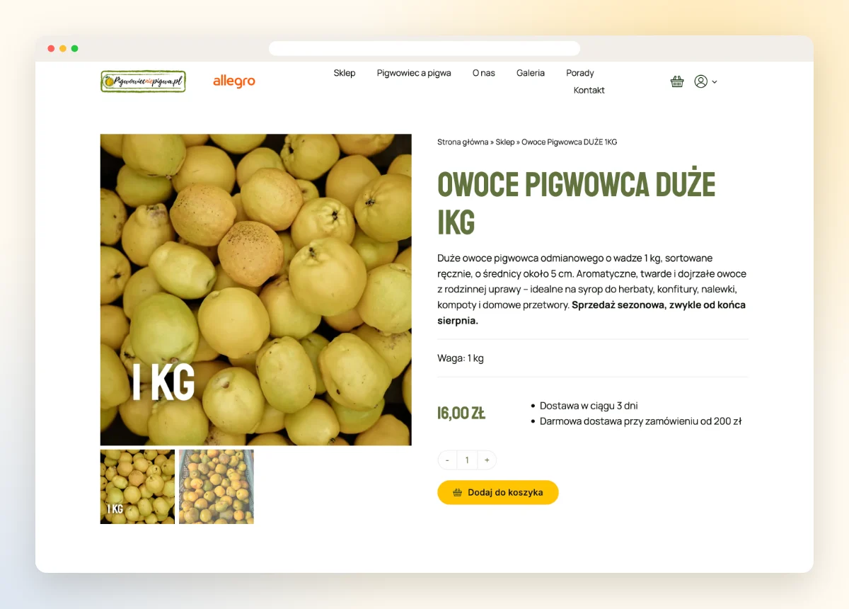 Karta produktu z dużym zdjęciem i ceną Karta produktu z dużym zdjęciem i ceną
