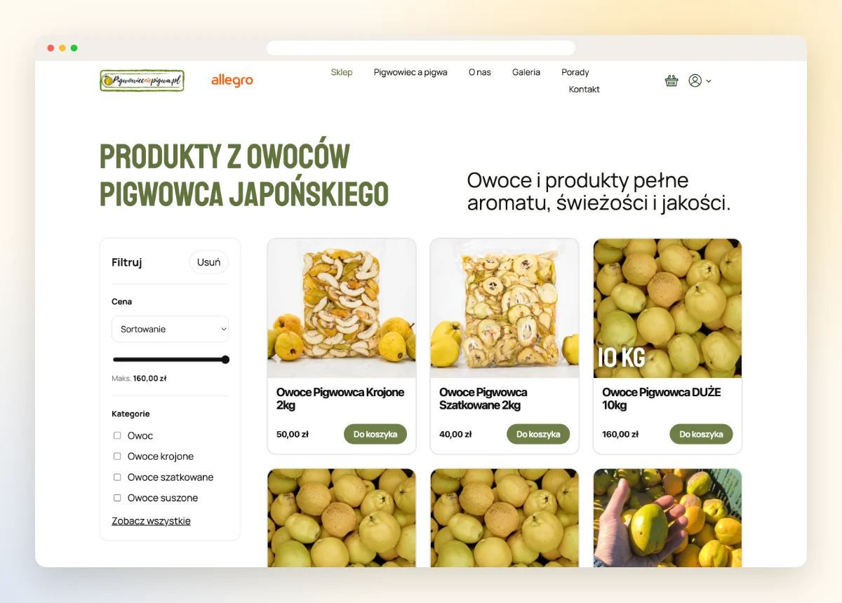 Lista produktów z filtrami w sklepie z pigwowcem Lista produktów z filtrami w sklepie z pigwowcem